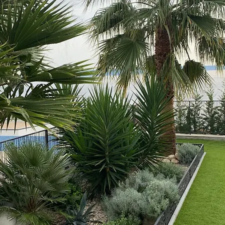 Appartement Night Pearl *